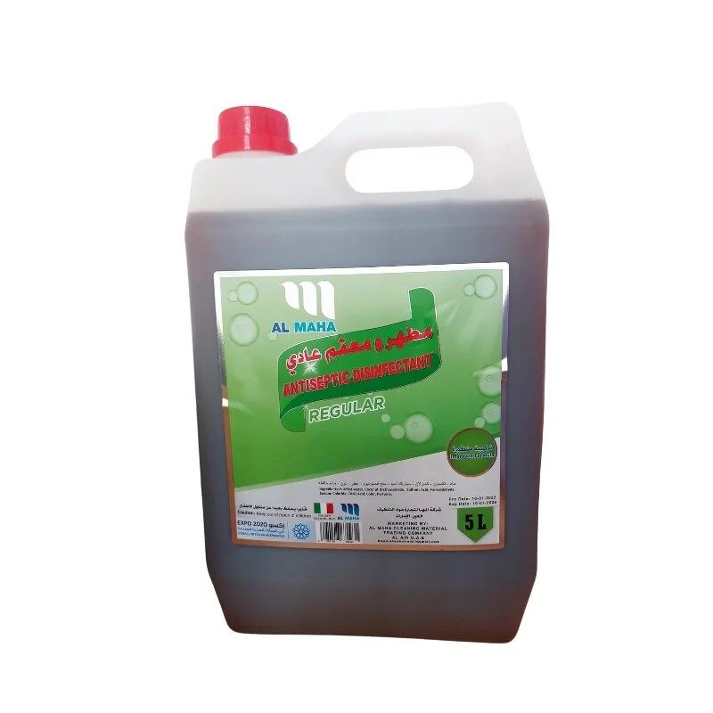 Antiseptic Disinfectant Regular